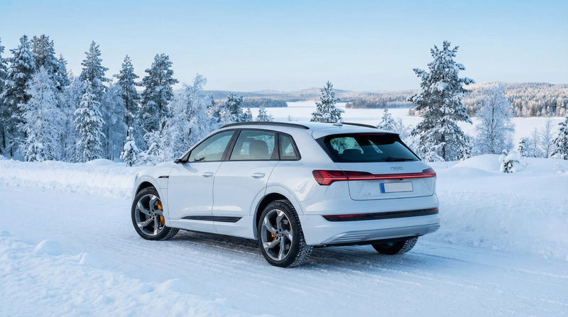 Audi E-Tron S ladekabel