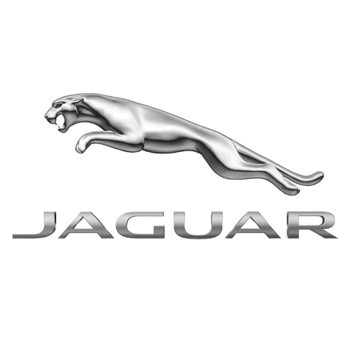 Cavo ricarica Jaguar