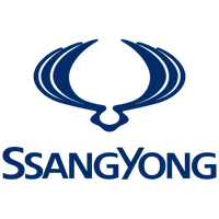 Cavo ricarica SsangYong