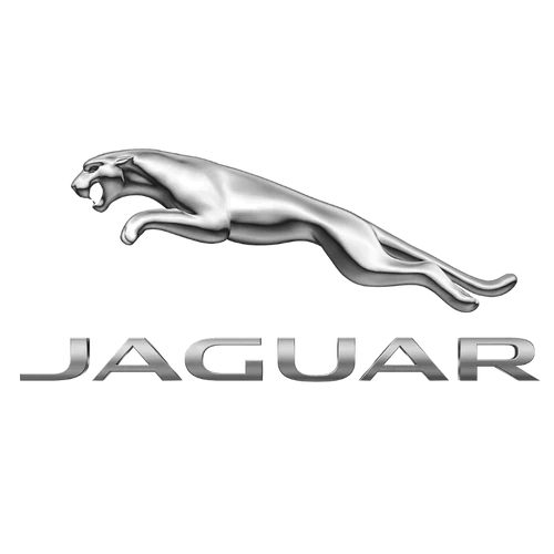 Jaguar Ladekabler