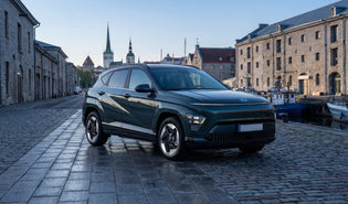 Hyundai Kona Electric 2020-2022 charging cable