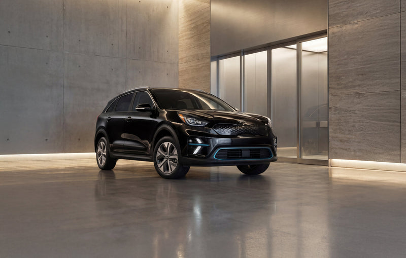 Kia E-Niro 2018/2019 ladekabel