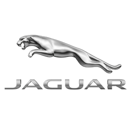 Jaguar Ladekabler
